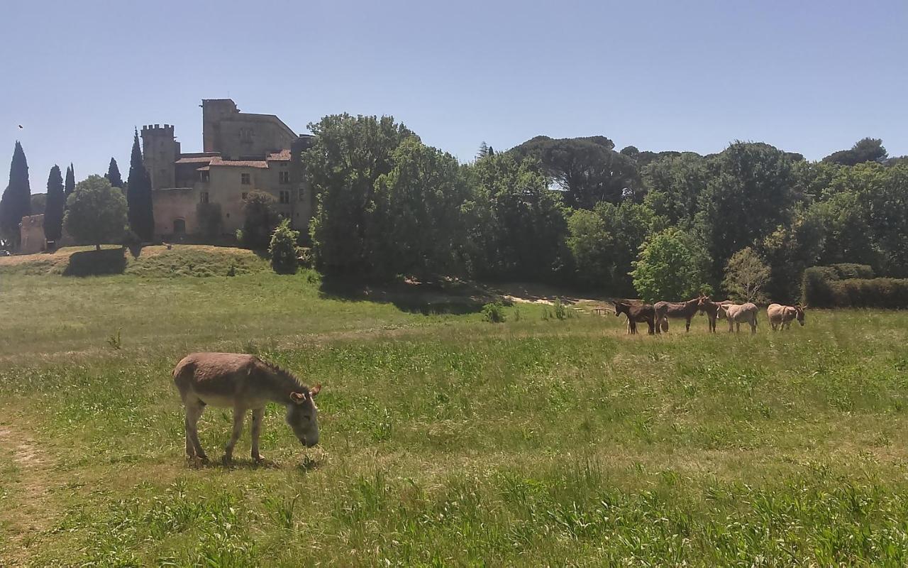 Une Chambre En Luberon Puyvert Eksteriør bilde